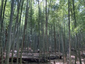 牧野ヶ池公園